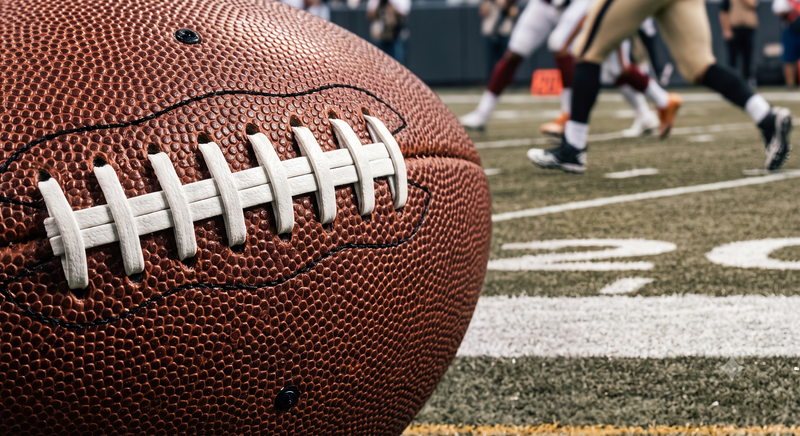 THE SECRET IDENTITY PIGSKINS